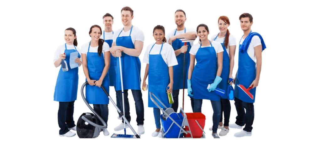 professional team of cleaners